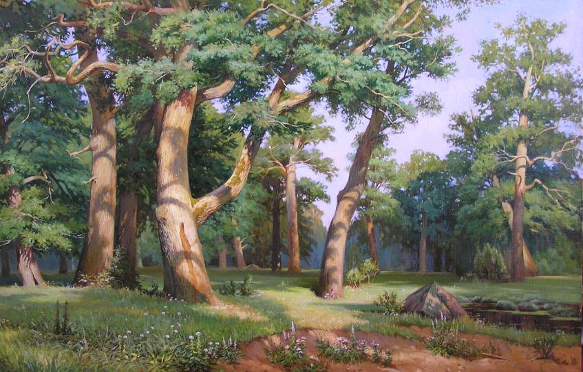 The oak grove