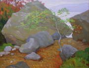 Cherry-plum (private collection)